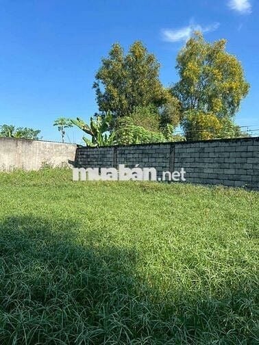 BÁN LÔ ĐẤT NỀN 2 MẶT TIỀN HÒA PHÚ CỦ CHI—CHỈ 9,2TR 1 M²