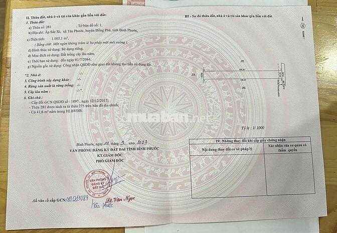 🔥 BÁN GẤP LÔ ĐẤT NGANG 10M – GIÁ TỐT TẠI ĐỒNG PHÚ, BÌNH PHƯỚC 🔥
