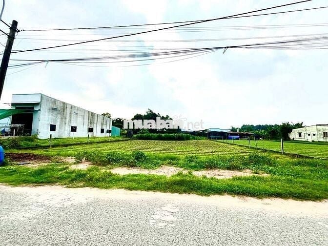 Bán đất ở đô thị cạnh chợ suối sâu cách QL 22 300m 336m2 giá 720 triệu