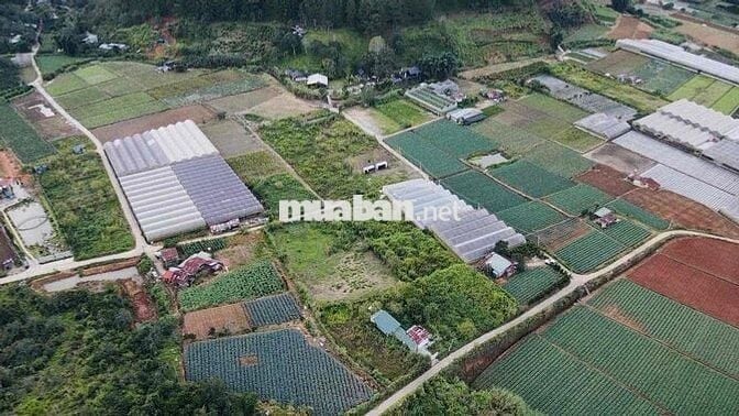 CẦN BÁN GẤP lô đất Phường 11, Đà Lạt 400m2 chỉ 890 triệu.