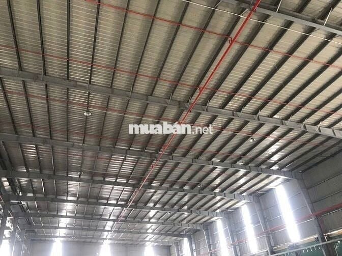 Cần cho thuê gấp kho 4.500m², KCN Hải Sơn , Long An , hợp đồng lâu dài