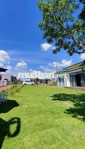 Vỡ nợ cần bán gấp lỗ lại lô 325m2 view đồi giá 490tr tặng nhà