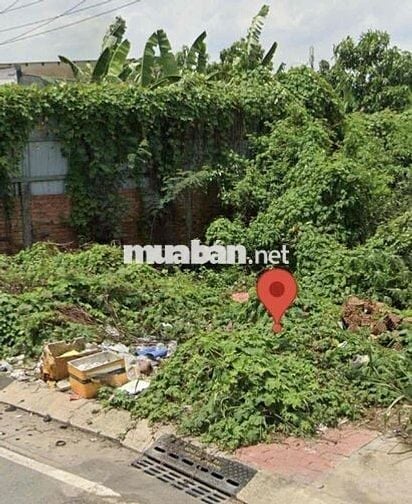 Đất to đẹp giá hạt dẻ dt 81,5m2 giá 867tr Bình Chánh