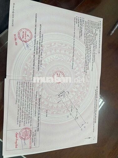 Loa loa Siêu ngộp cứu chủ từ 7,5 tỷ xuống 5,4 tỷ  ac phai nhanh ạ