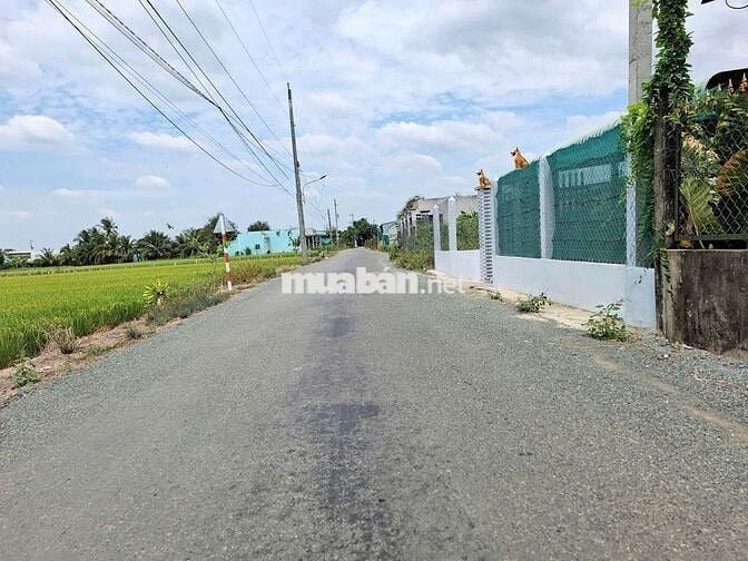 725m2 Full Thổ 1,35 tỷ. Nền cao. Khu dân xung quanh. Cách nhựa 50m