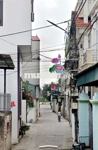 Bán nhà 3 mặt tiền 149m, 7.2x19 nở hậu, Cầu Cả Cổ Loa, 100tr/m2 TL