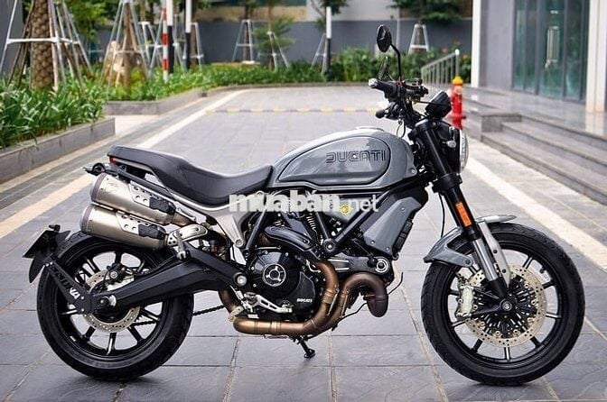 Thanh Motor cần bán Ducati Scrambler1100 Base 2019