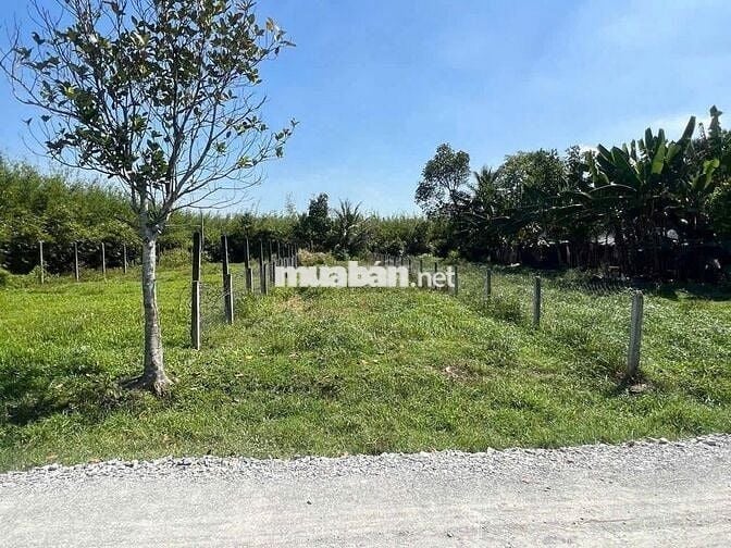 LÔ ĐẤT ĐẸP 264M2/390TR NGAY PHƯỚC HIỆP CỦ CHI FULL THỔ , SỔ HỒNG RIÊNG