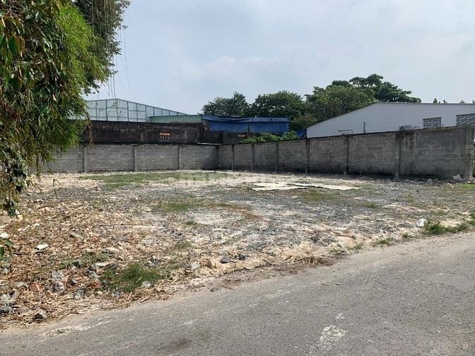 CHỦ BÁN NHANH LÔ ĐẤT 202m² TÂN THÔNG HỘI – SANG NƯỚC NGOÀI ĐỊNH CƯ.