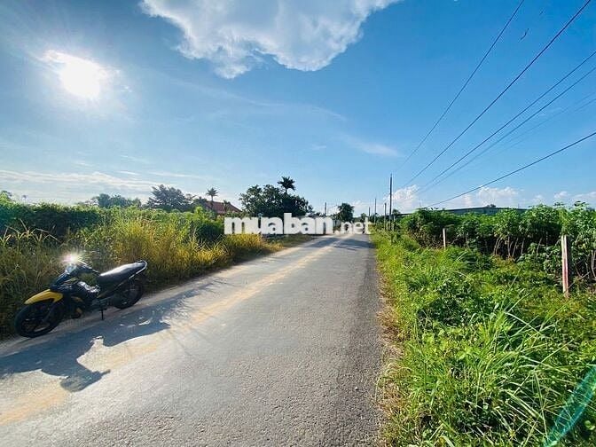 ĐẤT ĐẸP GIÁ RẺ – ẤP PHƯỚC ĐÔNG, PHƯỚC THẠNH, TÂY NINH