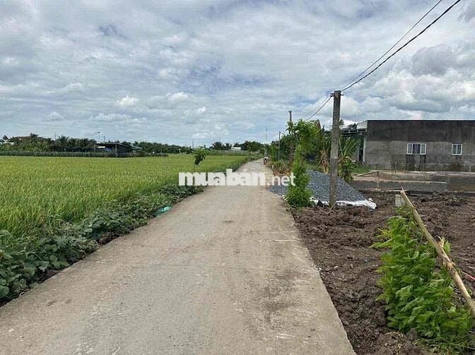 🌈🌈 QUÁ RẺ-6,5x33m Đường Nguyễn Văn Ánh(cách uỷ ban Bình Trinh 300m)