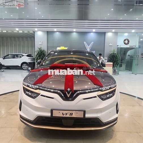 VinFast VF8 Lux Plus 2024