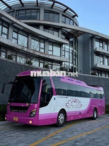 Hyundai Universe Xpress Luxury 2009 - 506699 km