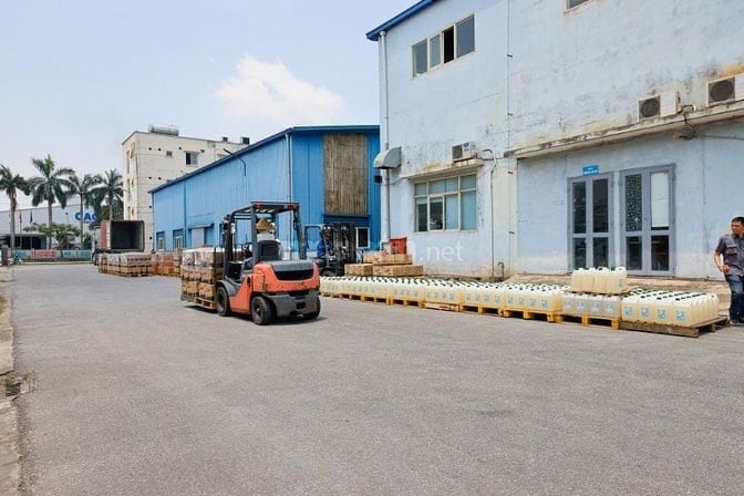 Tuyển dụng lái xe cho lãnh đạo