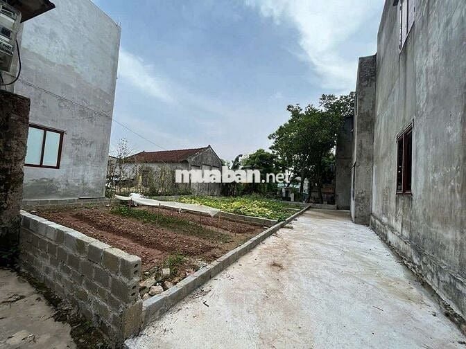 🚀 HIẾM RẺ ĐẸP 👉 ĐẤT BA LĂNG - DŨNGTIẾN- THƯỜNG TÍN - HÀ NỘI ( Chỉ nh