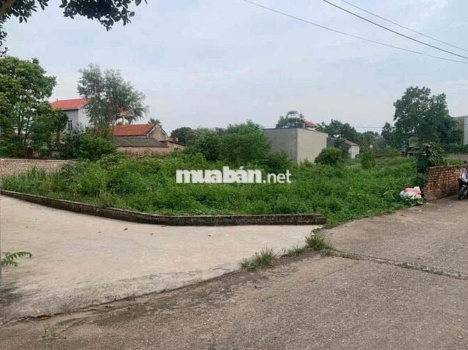 Bán Đất – Phú Cường (Minh Phú - SS)- 458m²- Ngần 11T/1m2-Full TC – Lô