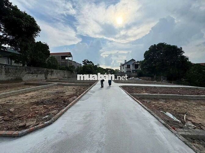 🌽 RẺ ĐẸP 👉 Đất Tại Tử Dương (Tía) , Tô Hiệu, Thường Tín , hà nội (cũ