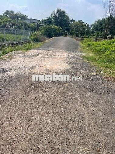 32x38 MÉT MẶT TIỀN NHỰA KHU DÂN CƯ XUYÊN MỘC BRVT