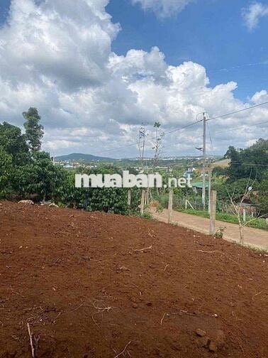 KẸT TIỀN BÁN GẤP lô đất Xã Đambri, Bảo Lộc 800m2 chỉ 650 triệu.