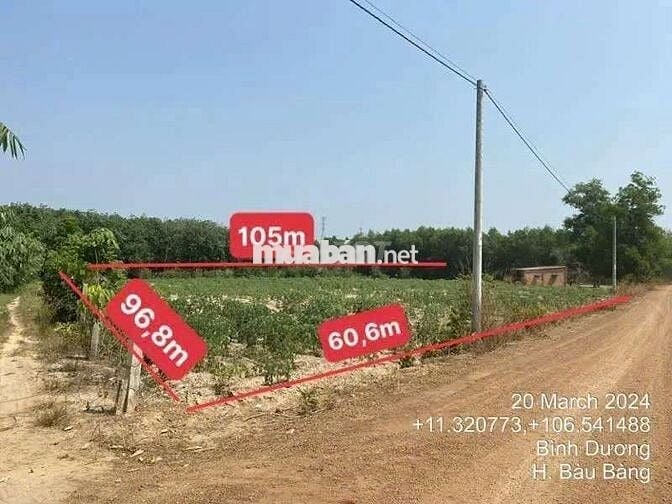 Bán tài sản đất 7230m² tại TP. Hồ Chí Minh mới giá hấp dẫn chỉ hơn 5tỷ
