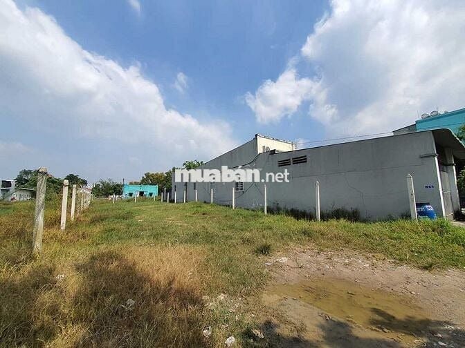 Chủ bán 192m2 đất thổ ở Thị Trấn Củ Chi - Giá 600tr - Cách QL22 500M