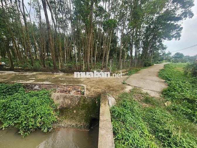 Bán lô đất 2 MT đường Võ Văn Điều, cạnh đường cao tốc (1579 m2) 1 tỷ 7