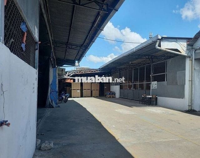 Cần bán kho xưởng, dt 1.500m2 tại P Tân Biên, cách công viên 30/4 300m