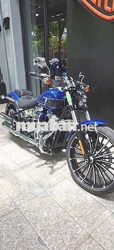 Harley Davidson mới mua tháng 6 2025