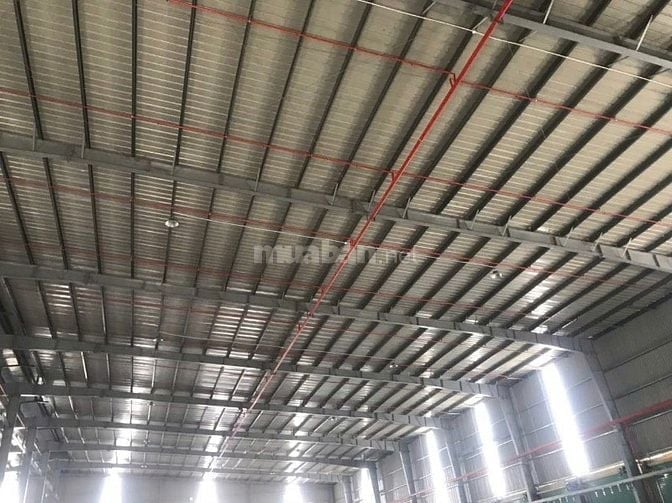 Cần cho thuê gấp kho 4.500m², KCN Hải Sơn , Long An , hợp đồng lâu dài