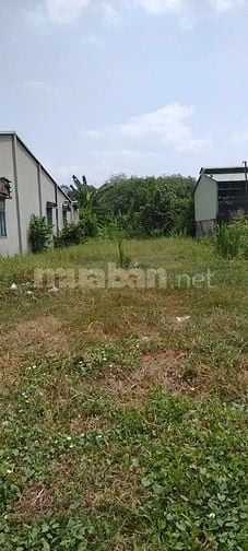 Bán đất ở đường Nguyễn Trọng Cát, Trảng Bàng, TN, Có 380m2, Giá:420tr