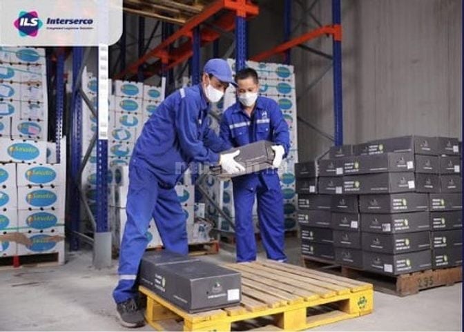 Tuyển nhân viên bôc xếp (làm trong kho, kiện hàng nhẹ)