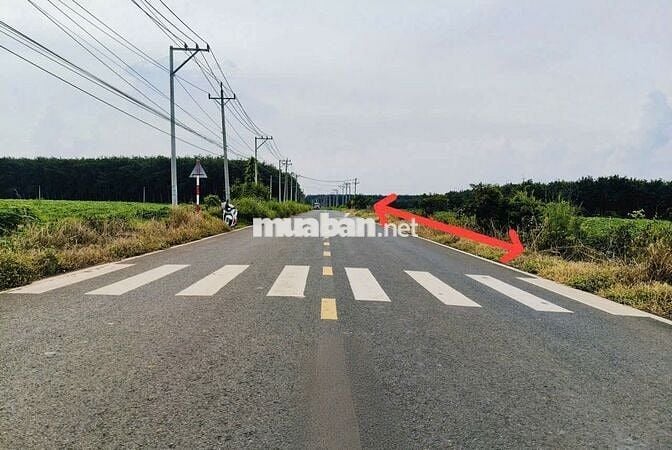 Cơ Hội Vàng: Đất Ngộp Chính Chủ, Sổ Sẵn, Công Chứng Liền Tay