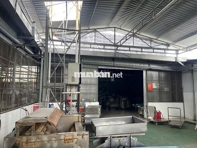 CHO THUÊ XƯỞNG FULL DIỆN TÍCH 1071M² – TÂN THẠNH ĐÔNG, CỦ CHI, TP.HCM