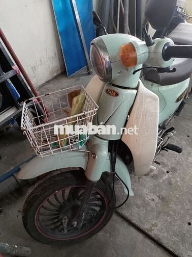 Xe cub taya thanh lý