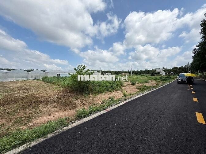 Đất Ngộp có sẵn thổ cư - Mặt tiền đường tại Xã Phước Thành, TP.HCM