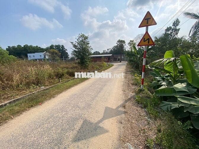 470 triệu  📏 Diện tích: 5m x 25m (125m²) PT gò dầu