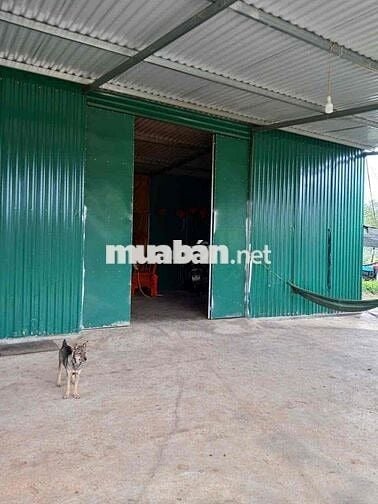 Cần bán đất 2hecta Eahleo mặt tiền đường bê tông