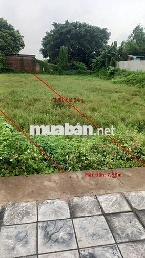 Bán mảnh đất nông nghiệp 257m2 mặt đường nhựa 2 oto tránh nhau