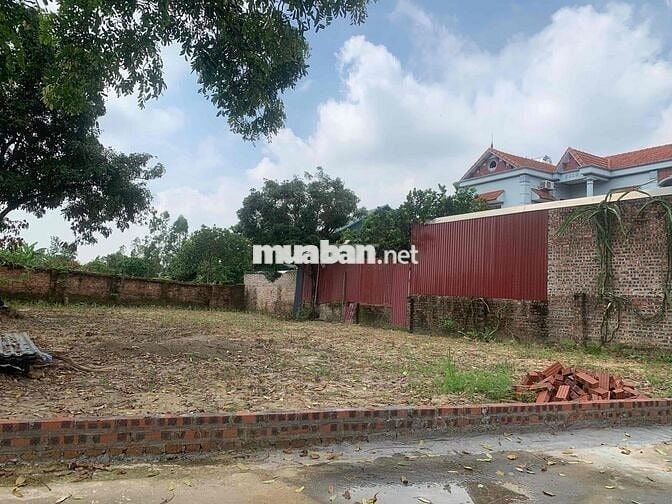 🔥 G.i.á Đẹp Nhất Khu Vực – Thái Lai (Minh Trí – Sóc Sơn) – 358m² – 2,4