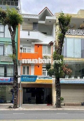 Nhà 1 Trệt 3 Lầu 6x16m Mặt Tiền 20m Đường Số 65 Tân Quy Đông