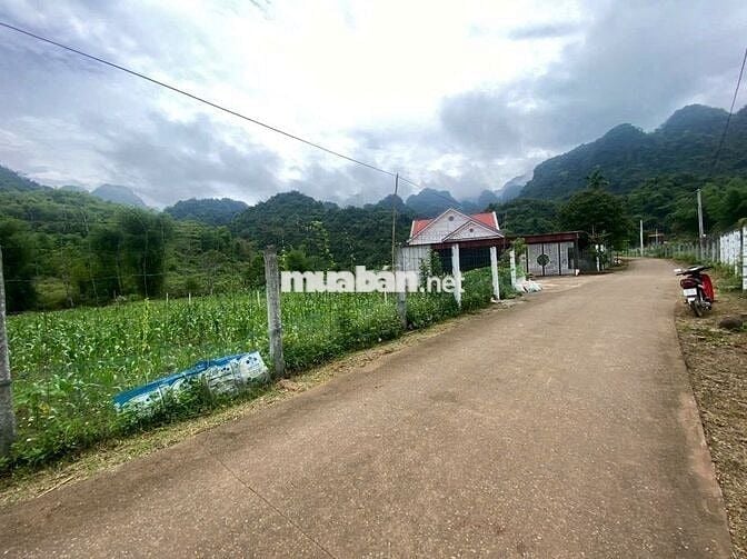 Bán đất bám QL12B – gần suối khoáng Kim Bôi – sổ đỏ sẵn, chỉ 1,9 tỷ