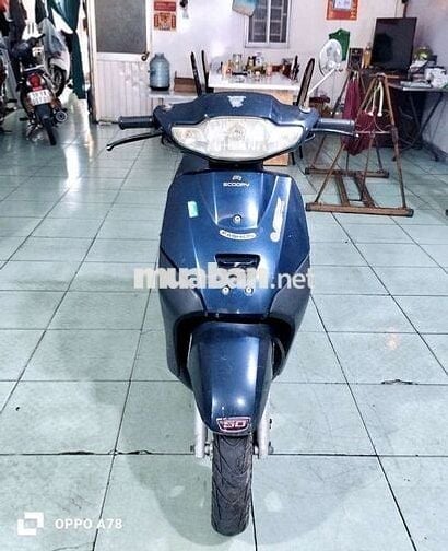 ❤️Fashion Fi  50cc xe hssv ko cần bằng lái gtdd 🩵