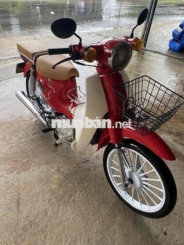 Cub 50cc