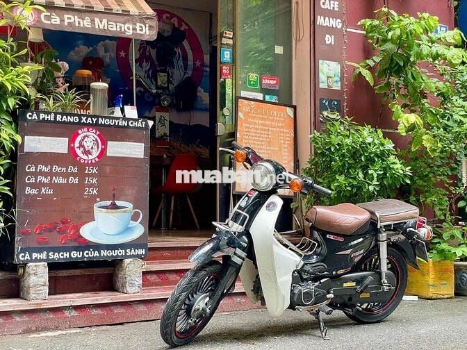 CUP 50 CC HYOSUNG KOREA