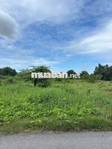 BÁN GẤP ĐẤT NỀN MẶT TIỀN ĐOÀN NGUYỄN TUẤN – BÌNH CHÁNH