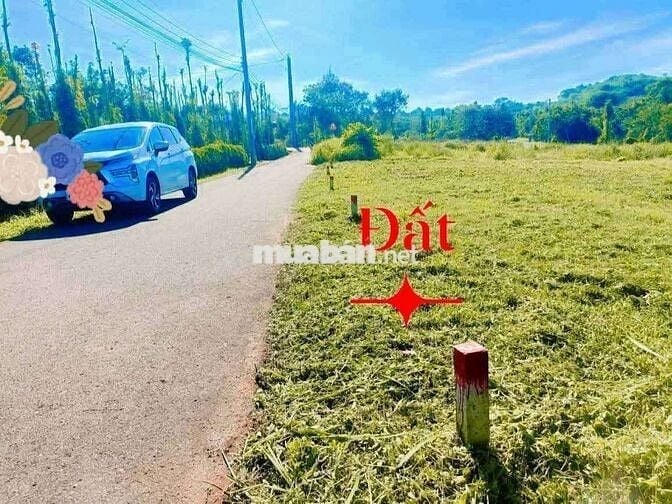 Bán Lô Đất Biệt Thự 250m2 Xã Kim Long TPHCM