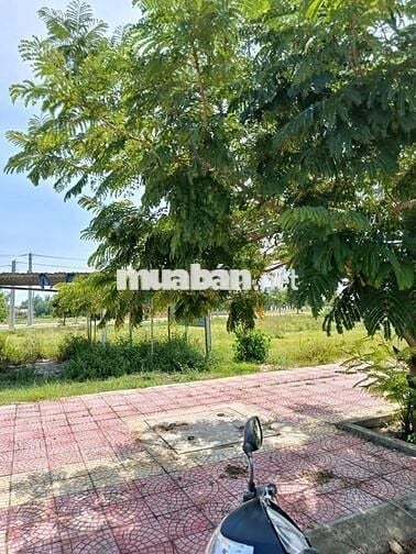 BÁN NHANH LÔ ĐẤT GẦN BIỂN - CHỢ - CÁCH HỘI AN 7p, GIÁ 16tr/m2