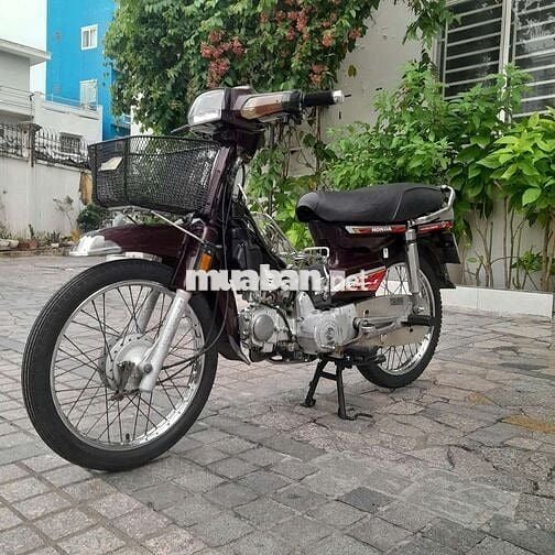 Xe dream Hàn Quốc bstp