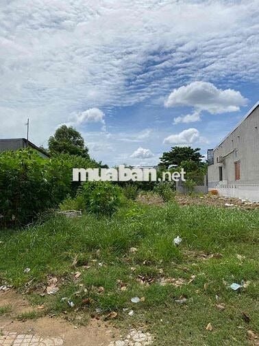 Đất nền tại đường Nguyễn An Ninh,Cần Giuộc chỉ 610tr/ 125m2
