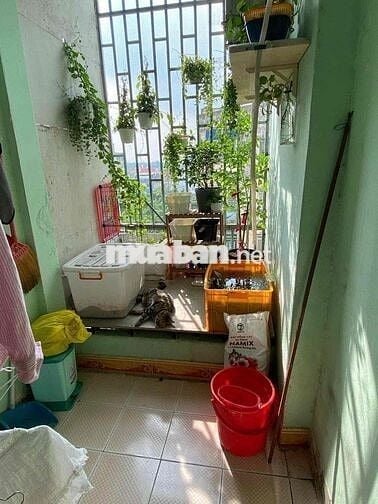 chính chủ cần bán căn hộ chung cư  Hiệp Bình Chánh